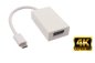 Preview: DINIC Adapter USB 3.2 Typ C Stecker/DisplayPort Buchse 4k bei 60Hz